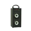 wooden portable active party speaker with fm radio and remote co